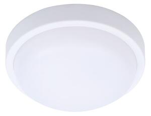 Biele LED stropnénástenné svietidlo 20W I54
