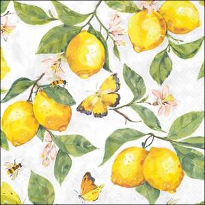 Bílé papírové ubrousky s citróny Fresh Lemons - 33*33 cm (20ks) - Ostatní