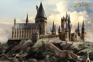 Plagát, Obraz - Harry Potter - Hogwarts, (120 x 80 cm)
