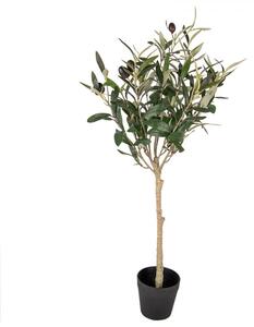 Dekorácia umelý stromček olivovník s olivami Olea Tree - 15*15*70 cm - Clayre & Eef