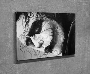 Wallity Obraz JOKER 30x40 cm sivý