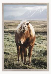 Nástenná dekorácia v ráme Horse