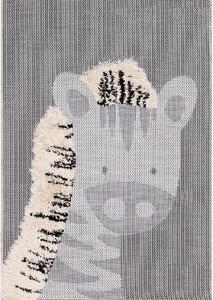 Franc Koberec Zebra 120x170cm