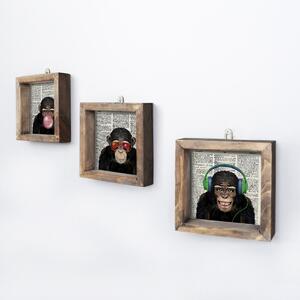 Hanah Home Súprava obrazov Šimpanz 15x15 cm 3 ks