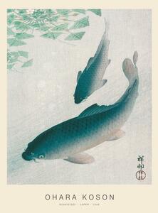 Obrazová reprodukcia Nishikigoi, Two Koi Carp Fish (Special Edition) - Ohara Koson
