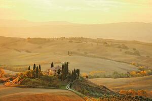 Fotografia Farm in Tuscany, mammuth
