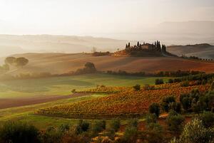 Fotografia View across Tuscan landscape., Gary Yeowell