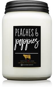 Milkhouse Candle Co. Farmhouse Peaches & Poppies vonná sviečka Mason Jar 737 g