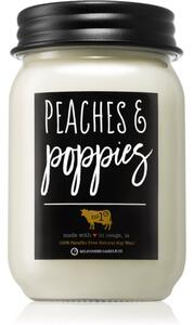 Milkhouse Candle Co. Farmhouse Peaches & Poppies vonná sviečka Mason Jar 368 g