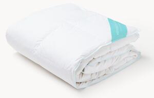 Páperový paplón Comfort, celoročný