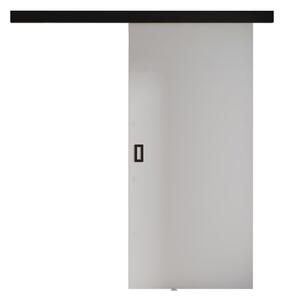 Interiérové ​​posuvné dvere Tessa -80 (jaseň tmavý). Vlastná spoľahlivá doprava až k Vám domov. 1059805