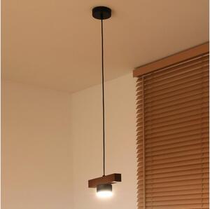 Duolla - Závesný luster na lanku IRONLINE 1xGX53/3W/230V borovica dub/čierna