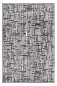 Sivý vonkajší koberec 63x120 cm Clyde Telu – Hanse Home