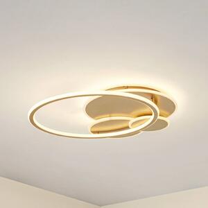 Lucande stropné LED svetlo Circulo, zlaté, 60 cm stmievateľné, Mosadz / zlato, Obývacia izba / jedáleň, kov, Moderný