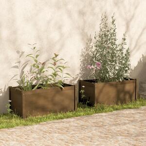 Záhradné kvetináče 2ks medovo-hnedé 100x50x50cm borovicový masív