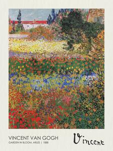 Obrazová reprodukcia Garden in Bloom, Arles (1888), Vincent van Gogh