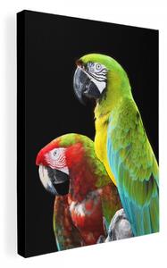 Obraz s motívom papagájov s čiernym pozadím
