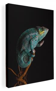 Obraz na plátne s motívom chameleóna