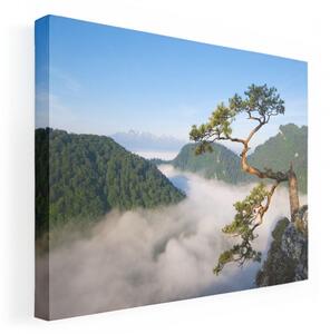 80x60 obraz na stenu s motívom prírody