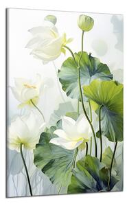 Obraz na plátne Biele vodné kvety