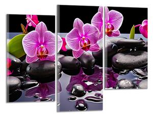 Moderný obraz Orchidey a čierne kamene