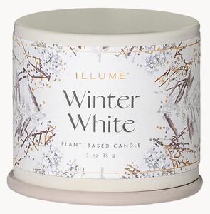 Vonná sviečka Winter White (Citrus Fruits & Cardamom)