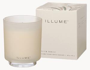 Vonná sviečka Winter White (Citrus Fruits & Cardamom)