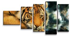 Sablio Obraz - 5-dílný Tiger - 100x60 cm