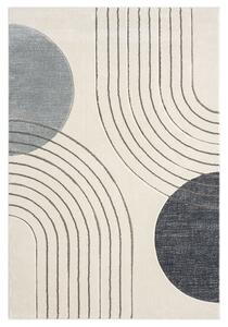 Dekorstudio Moderný koberec BONITO 7170 sivý Rozmer koberca: 160x230cm
