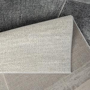 Dekorstudio Moderný koberec BONITO 9053 sivý Rozmer koberca: 160x230cm