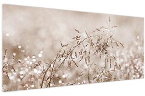 Obraz - Lúka v hnedých tónoch (120x50 cm)