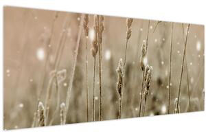 Obraz - Harmonická lúka (120x50 cm)