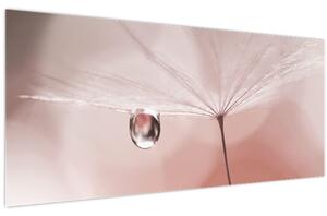 Obraz - Kvapka rosy (120x50 cm)