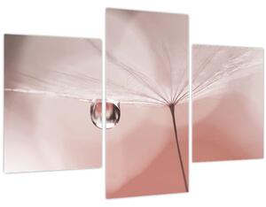 Obraz - Kvapka rosy (90x60 cm)