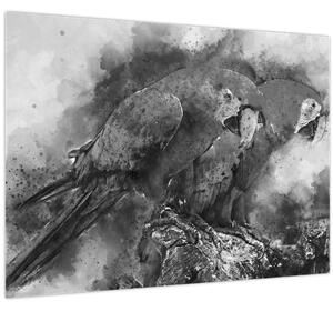 Obraz - Akvareloví papagáje (70x50 cm)