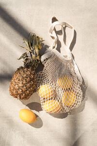 Ilustrácia Summer Fruits, Henrike Schenk