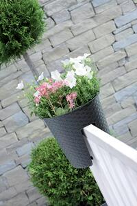 Prosperplast Kvetináč na zábradlie RATOLLA OVAL antracit 29,8 cm