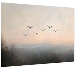 Obraz - Hejno vtákov (70x50 cm)