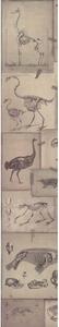MINDTHEGAP Zooarchaeology - tapeta