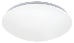 STROPNÉ LED SVIETIDLO, 30/9 cm - Interiérové svietidlá