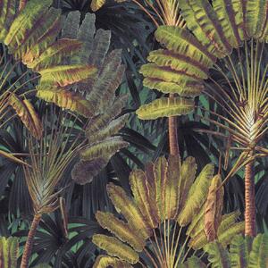 MINDTHEGAP Traveller'S Palm Sunset - tapeta
