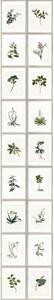 MINDTHEGAP Botany - tapeta