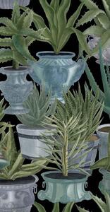 MINDTHEGAP Echeveria - tapeta