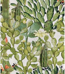 MINDTHEGAP Opuntia - tapeta