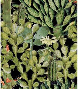 MINDTHEGAP Opuntia Anthracite - tapeta