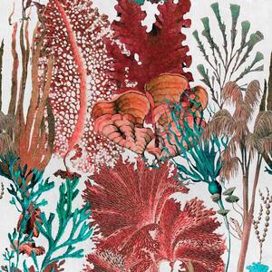 MINDTHEGAP Coral Reef - tapeta