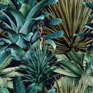 MINDTHEGAP Lush Succulents - tapeta