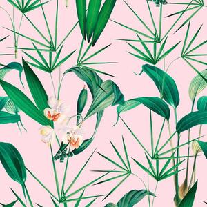 MINDTHEGAP Palm Springs - tapeta