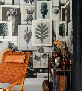 MINDTHEGAP Blossfeldt´s art forms - tapeta