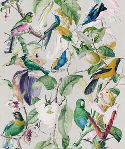 MINDTHEGAP Tropical Birds - tapeta